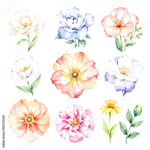 Watercolor floral illustration set with delicate flowers and leaves, isolated on white background. Soft watercolor floral bouquet set