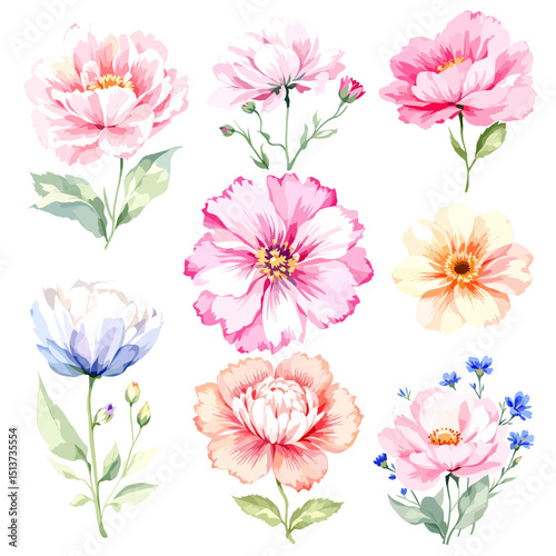 Watercolor floral illustration set with delicate flowers and leaves, isolated on white background. Soft watercolor floral bouquet set