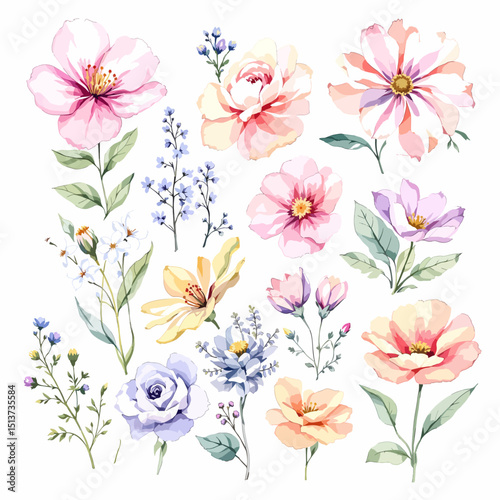 Watercolor floral illustration set with delicate flowers and leaves, isolated on white background. Soft watercolor floral bouquet set