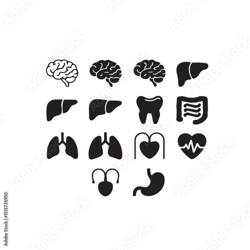 Set of Human Internal Organ Icons – Anatomy Vector Symbols for Medical and Healthcare Design"

