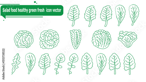 Salad food healthy green fresh  icon vector