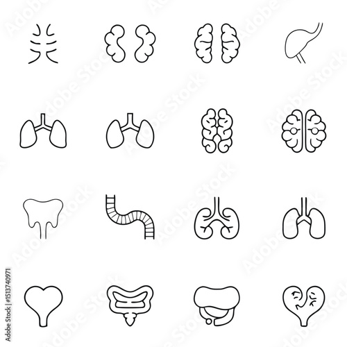 Collection of Human Internal Organs in Line Art Style on White Background