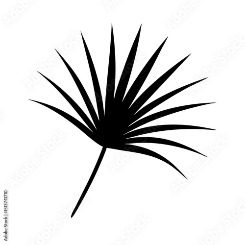 Silhouette palm leaf with long radial fronds icon on transparent background for web and graphic design