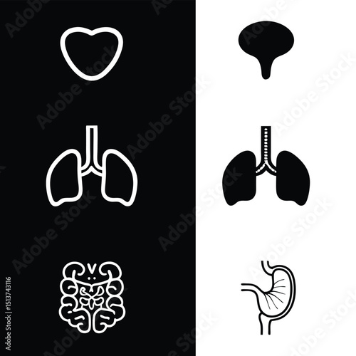 Human Internal Organs Silhouette Icons on Black and White Background