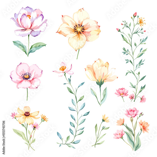 Set of watercolor flowers on white background, Set watercolor Flowers Clipart