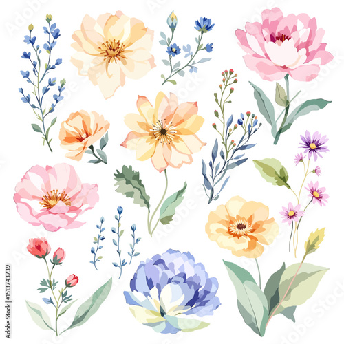 Set of watercolor flowers on white background, wildflower clipart vector for graphic resources