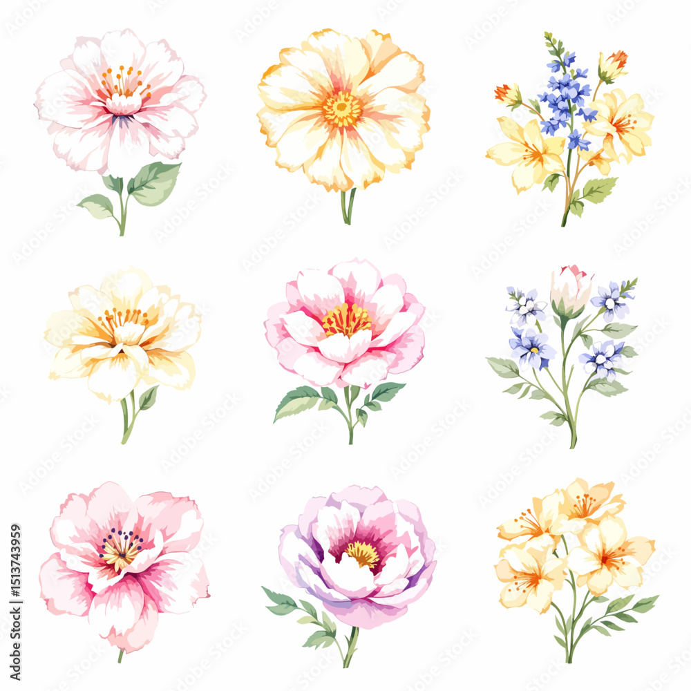 Fototapeta premium Set of watercolor flowers on white background, Set watercolor Flowers Clipart