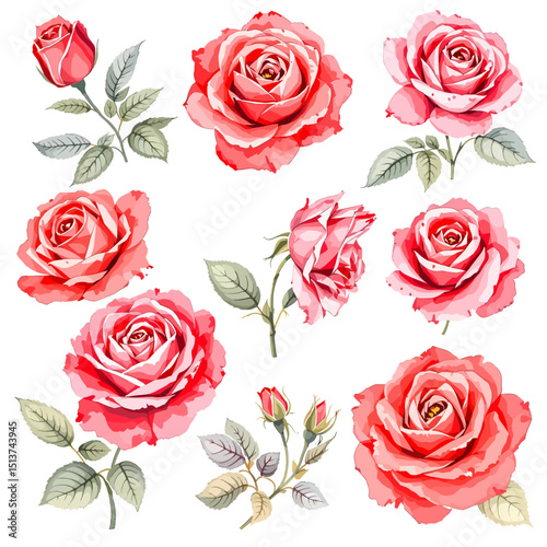 Set of watercolor red flowers on white background, Set watercolor Flowers Clipart