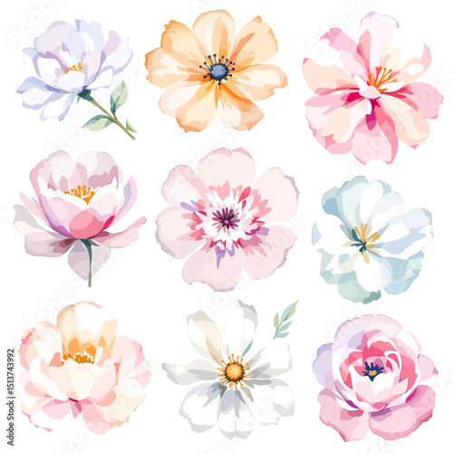 Set of watercolor flowers on white background, wildflower clipart vector for graphic resources