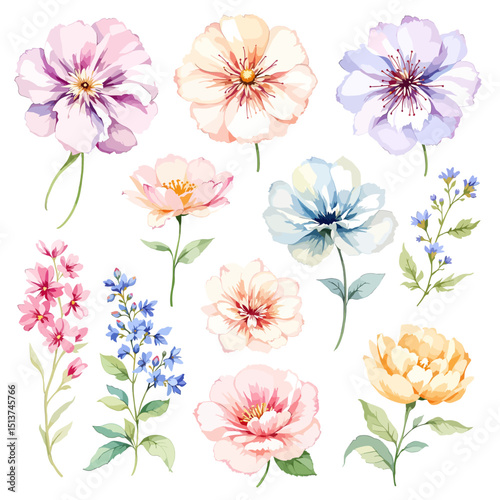 Set of watercolor flowers on white background, wildflower clipart vector for graphic resources