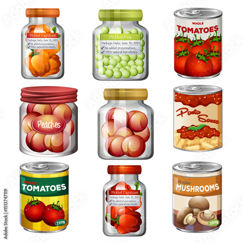 vector illustration of food