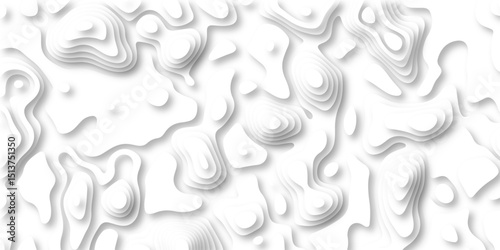 paper cut 3d render topography abstract, beautiful white Background. geometric map relief texture with curved layers and shadow. Realistic papercut decoration textured with wavy vector design.
