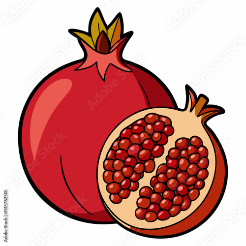 pomegranate and half carton illustration