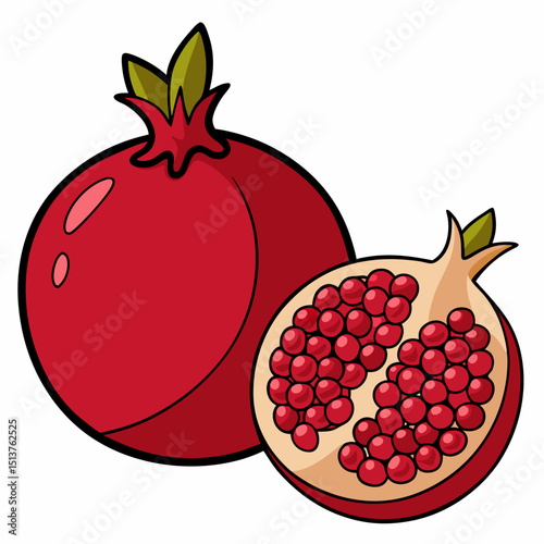 pomegranate and half carton illustration