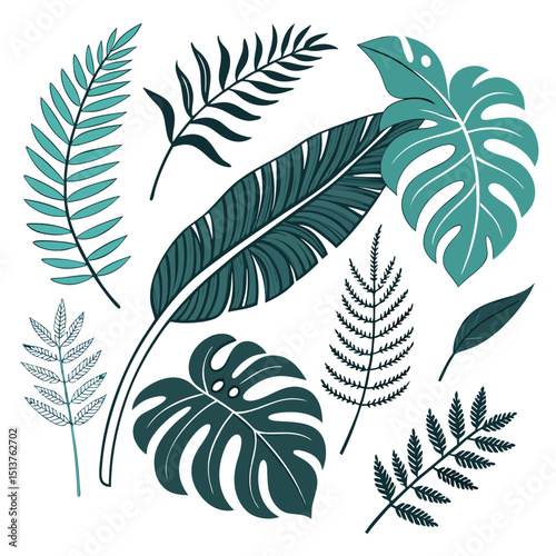 Collection of Hand-Drawn Tropical Leaves in  dark Green  illustration
