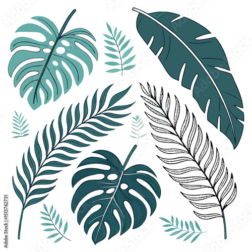 Collection of Tropical Leaves in Teal illustration