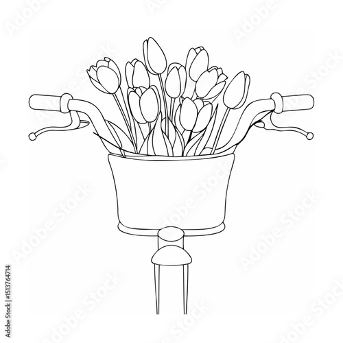 Black and white line art bicycle basket overflowing with beautiful tulip flowers for spring