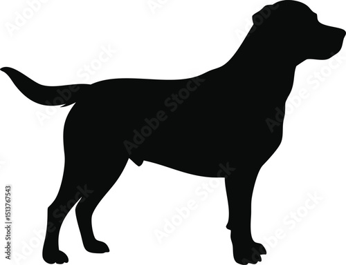 Dog silhouette isolated on white background, standing in profile view