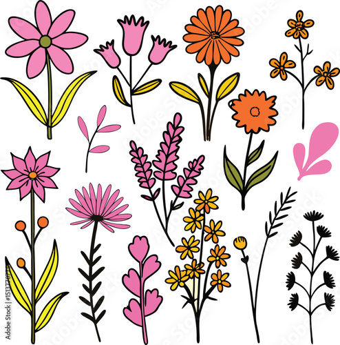 Collection of hand drawn floral elements various flowers plants leaves