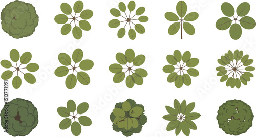 A collection of fifteen stylized tree top views with varying leaf arrangements on a white background