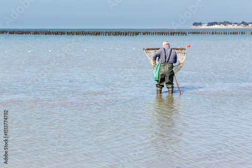 Pêcheur de crevettes devant des bouchots de moules avec son grand haveneau.