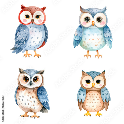 fluffy cute owl watercolor style, isolated white background