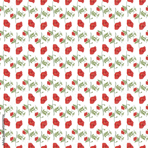 Seamless Red Poppy Floral Pattern on a White Background