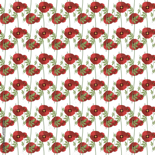 Seamless Red Poppy Floral Pattern on a White Background