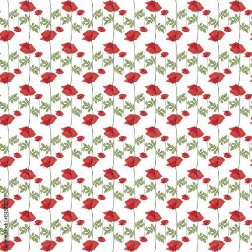 Seamless Red Poppy Floral Pattern on a White Background