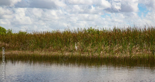 Everglades