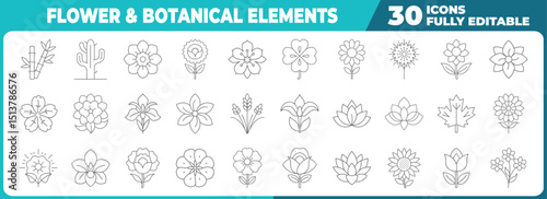 Collection of 30 flower and botanical element  Modern thin line icons set for design projects