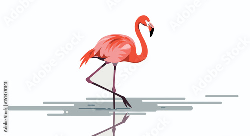 Pink flamingo standing in shallow water with reflection  