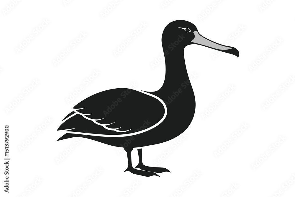 Albatross bird silhouette vector illustration on white background Albatross bird silhouette vector illustration on white background