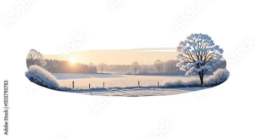Serene Winter Sunrise Frosty Field and Snow-Covered Tree