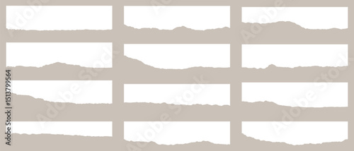 Set of ripped paper, jagged border, torn paper top,   collection of torn, Paper torn strip stroke with cut stuck edges vector illustration, Set of white headline band. Calligraphy border, 