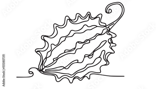 Continuous one single minimal line drawing Bitter gourd vegetable 