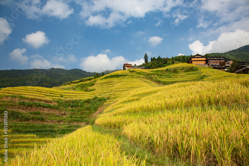 Longji Rice Terraces
