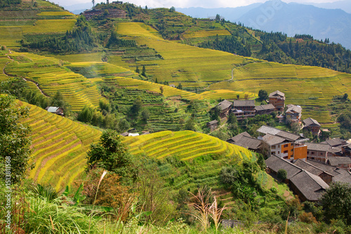 Longji Rice Terraces