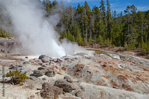 Norris geyser basin