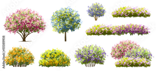  Vector watercolor blooming flower tree or forest side view isolated on white background for landscape and architecture drawing,elements for environment or and garden,green tree for garden section 