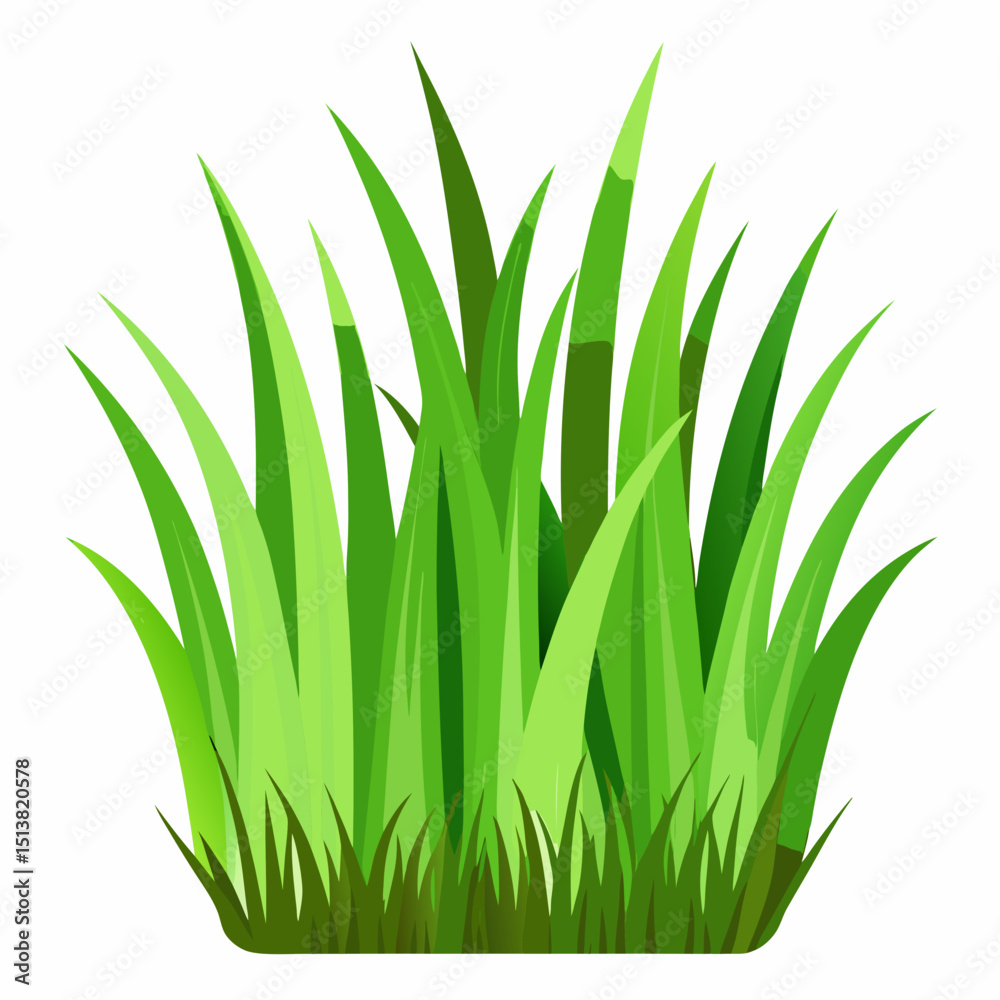 Fototapeta premium Green grass isolated on white background 