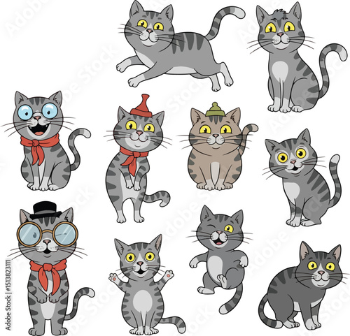 funny ash cats in a variety of playful poses.