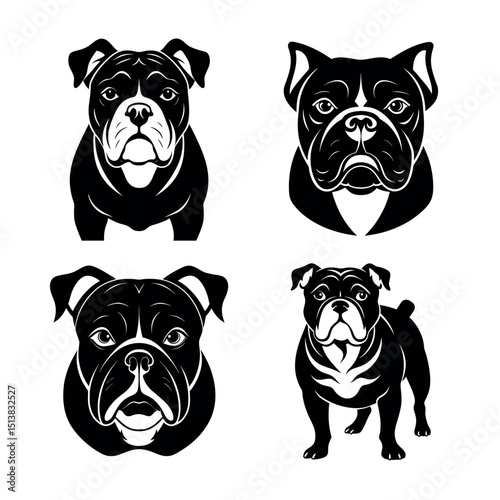 vector illustration of a bulldog