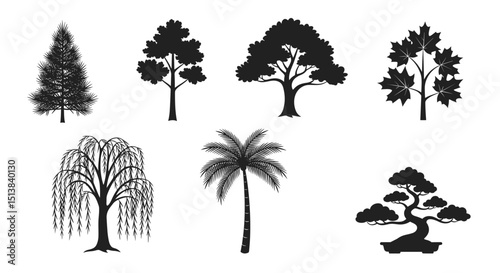 Silhouette collection featuring various tree types including pine maple palm and weeping willow designs shown