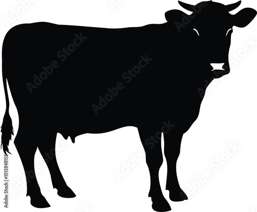 Silhouette of a dairy cow standing isolated on a white background