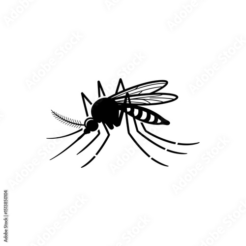 Black Mosquito Insect: A detailed image of a mosquito with intricate features, showcasing the insect's structure and form, against a plain background.