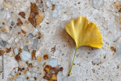 yellow leaf on the ground