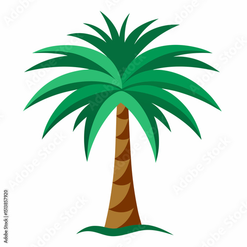 palm tree vector illustration