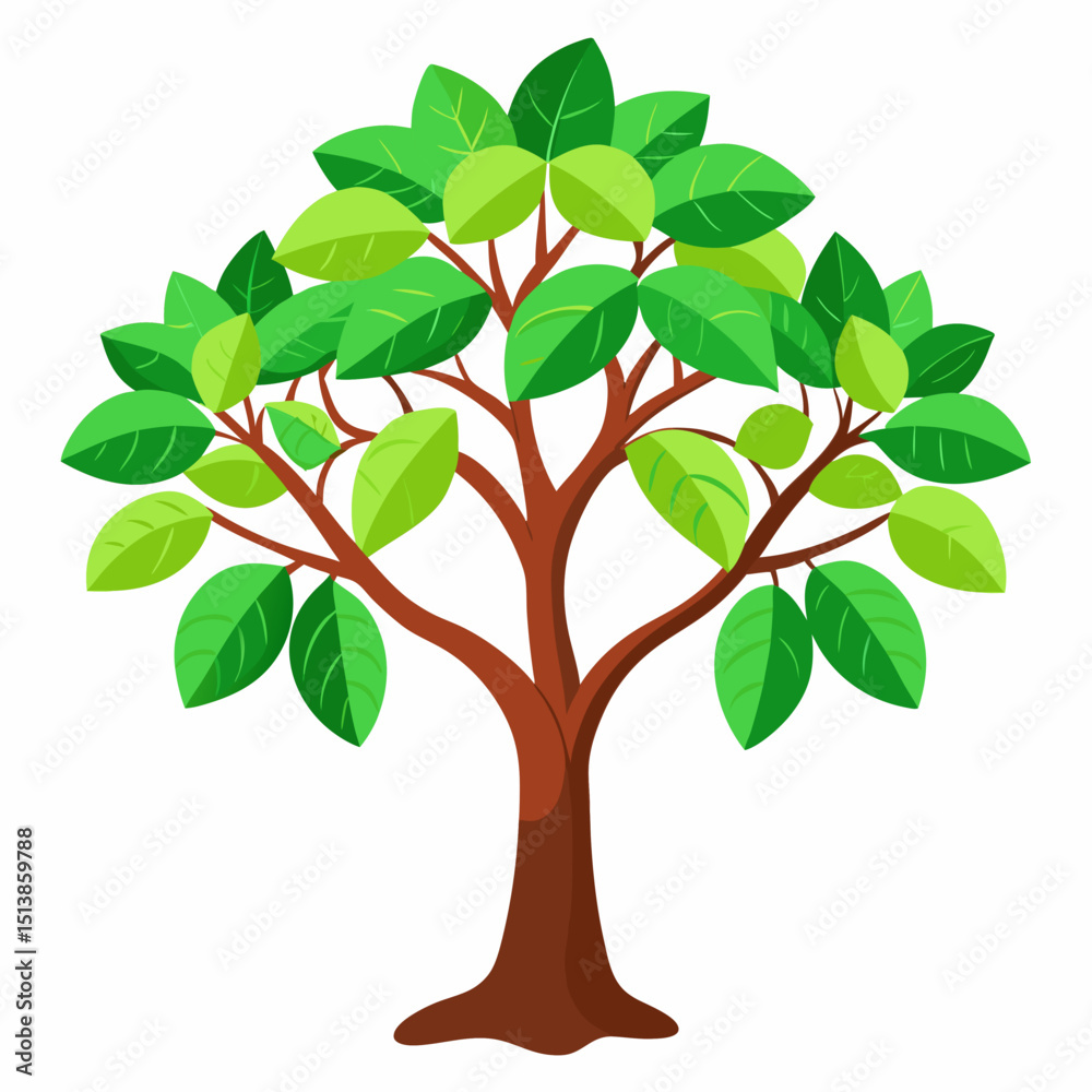 Obraz premium green tree isolated