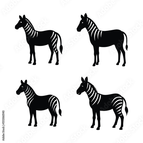 zebra vector illustration